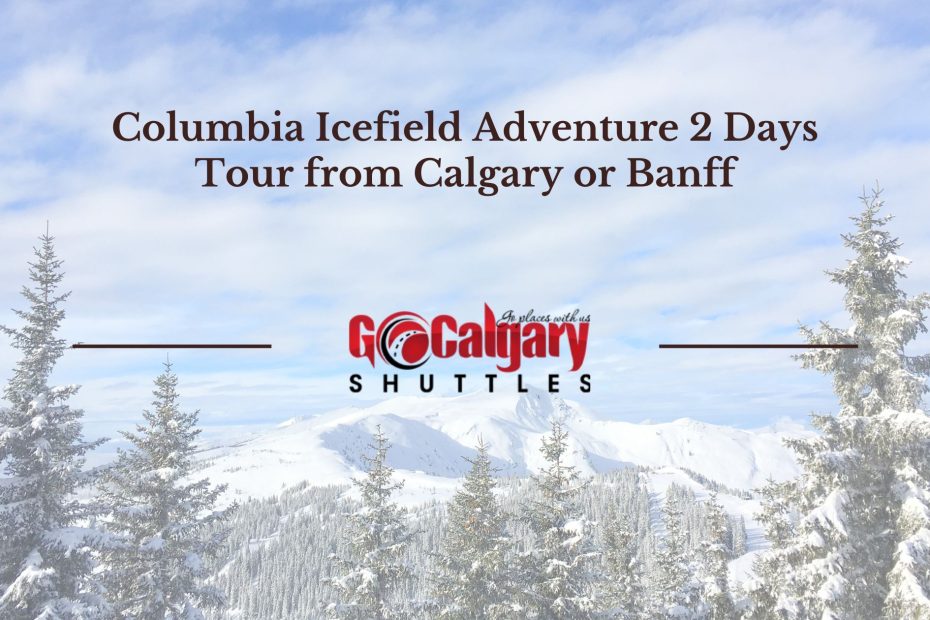 Columbia Icefield Adventure- 2 Days Tour from Calgary or Banff